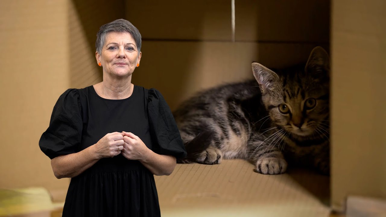 Góðan morgun ketta mín