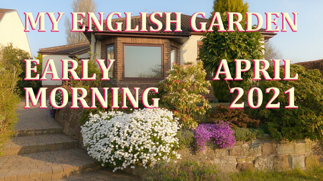 Early Morning Relaxing Walk in My English Garden April 2021