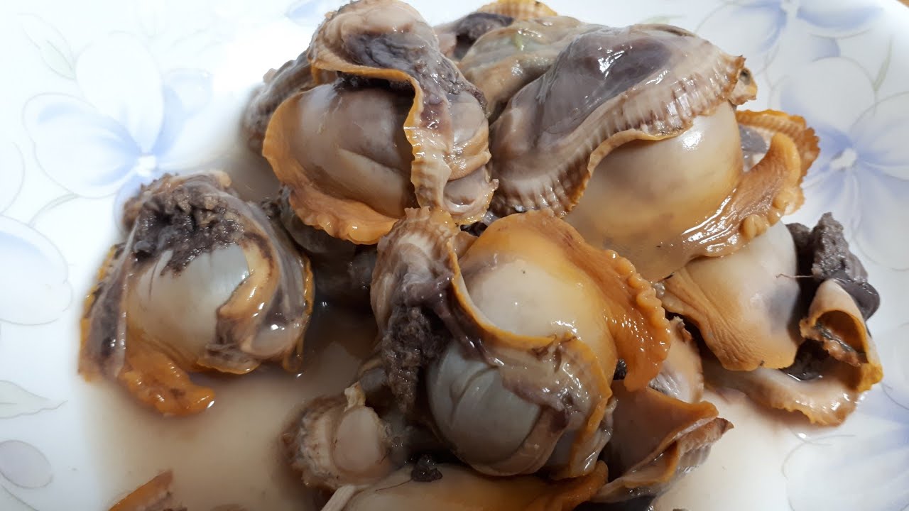 피조개 데쳐 먹기ㆍ피조개 해감ㆍ탱글한 바다가 한입에