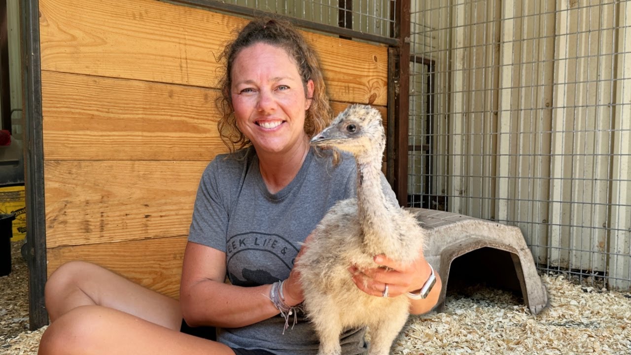 Barn Chores with Charlie!