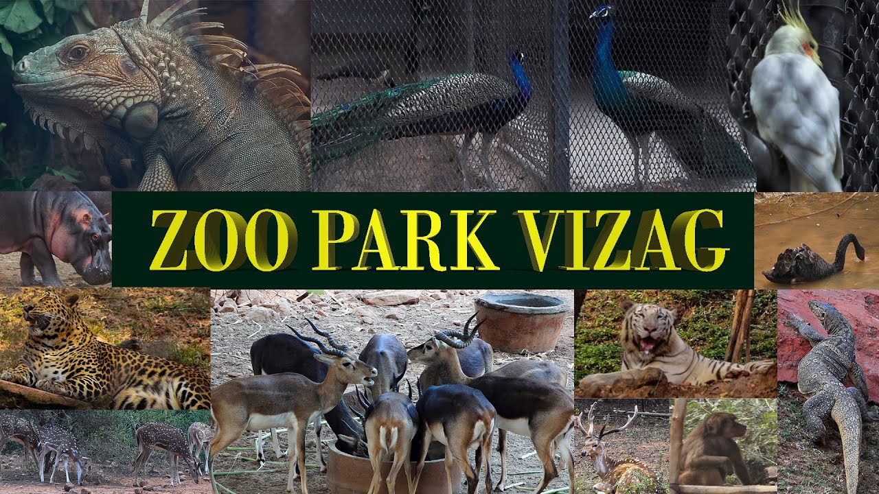 Vizag Zoo Park One Day Tour  #GandhiZoologicalPark in visakhapatnam #WildLife #FilmfxMedia #Vizag
