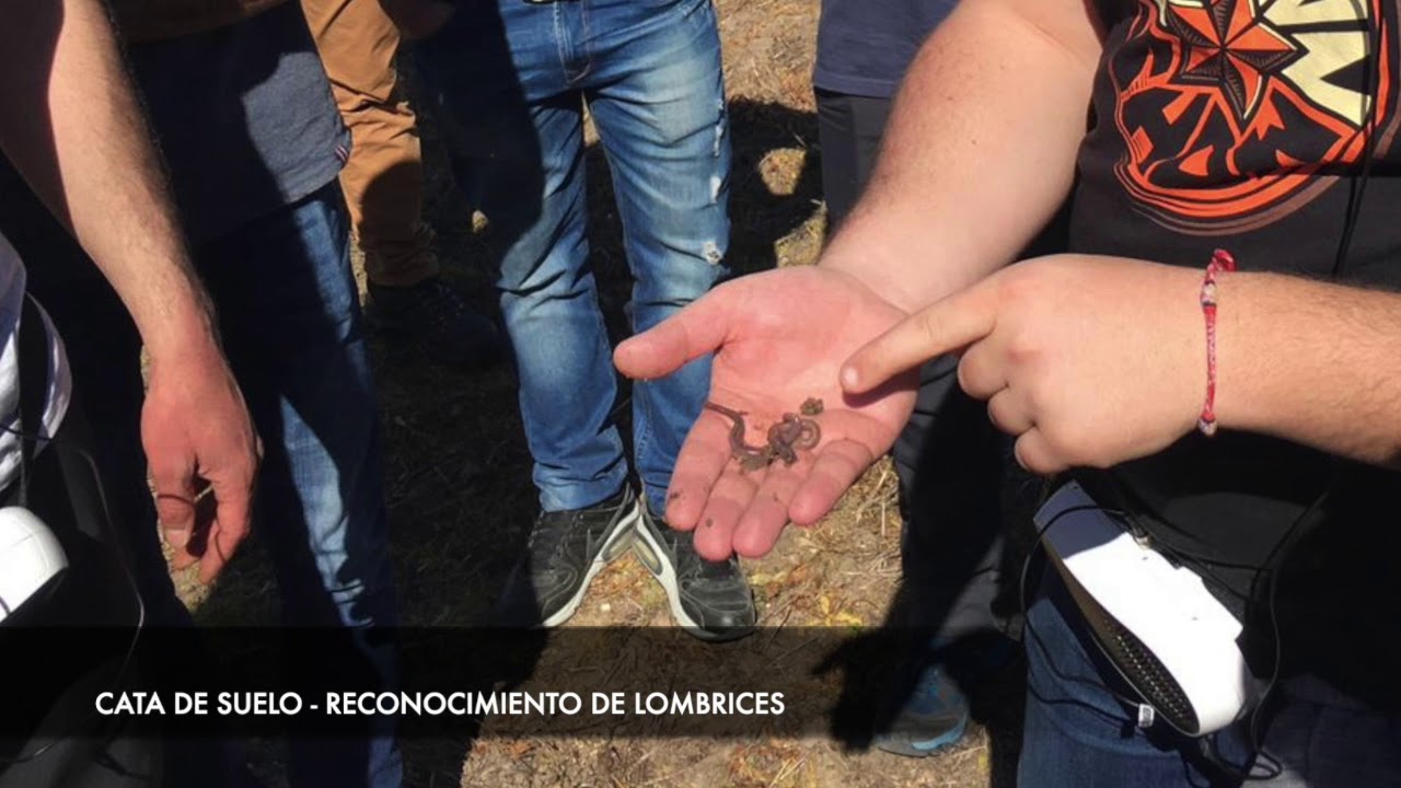 Visita explotaciones socios (Segovia) - Proyecto NEFERTITI