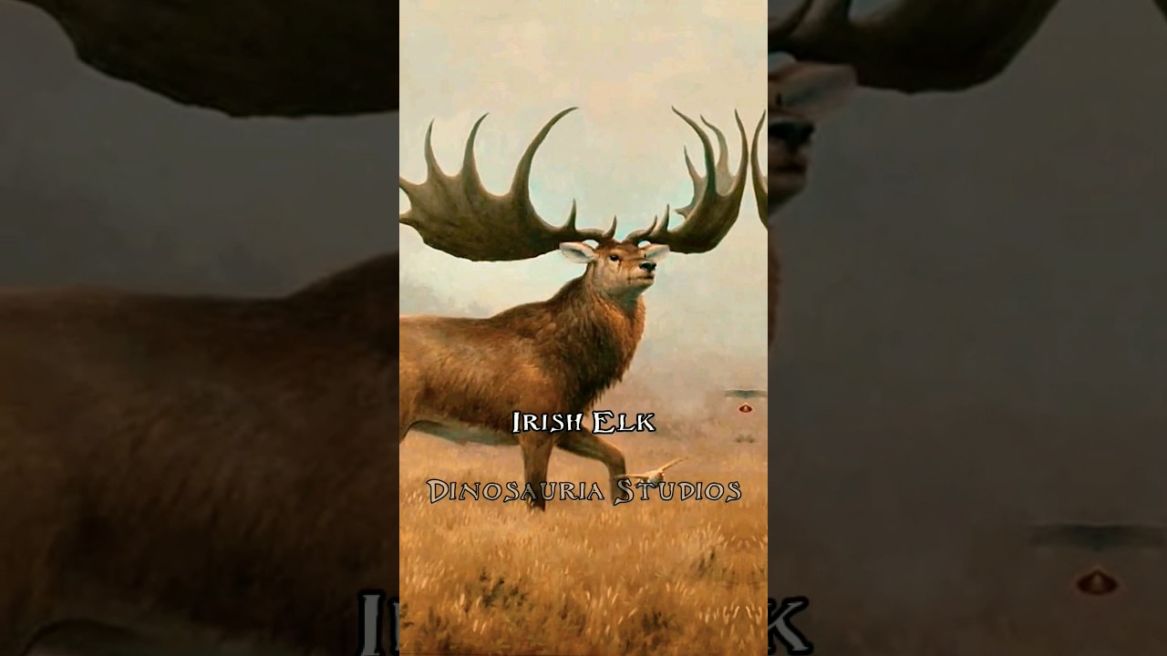 Animals That Are Extinct In Ireland #stpatricksday #animals #shorts