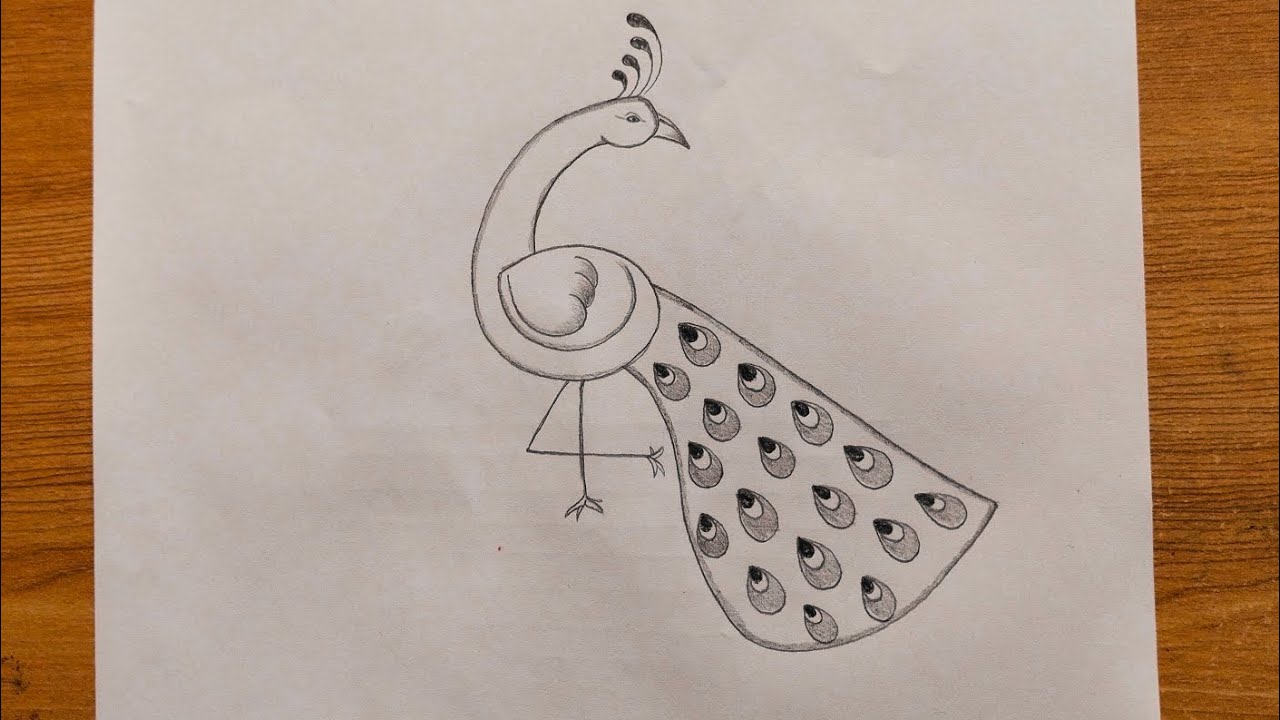 Learn Easily peacock drawing step by step drawing tutorial 