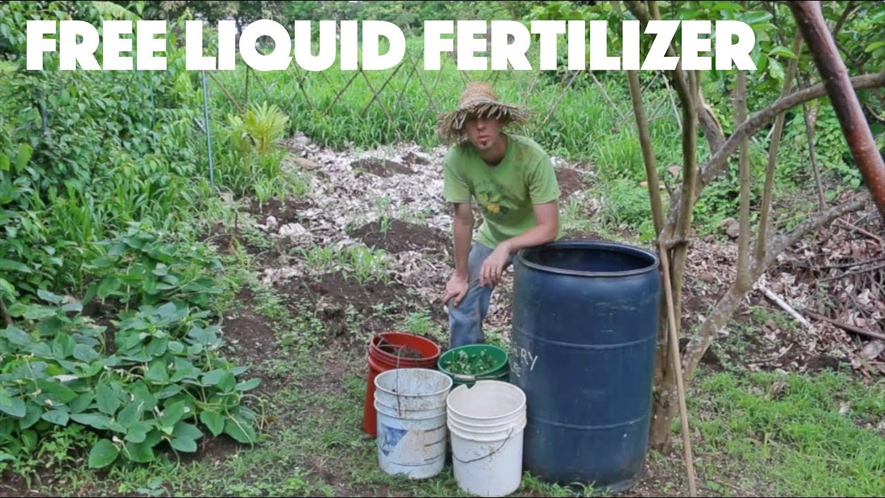 Creating a New Batch of Fermented Plant Juice AKA 
