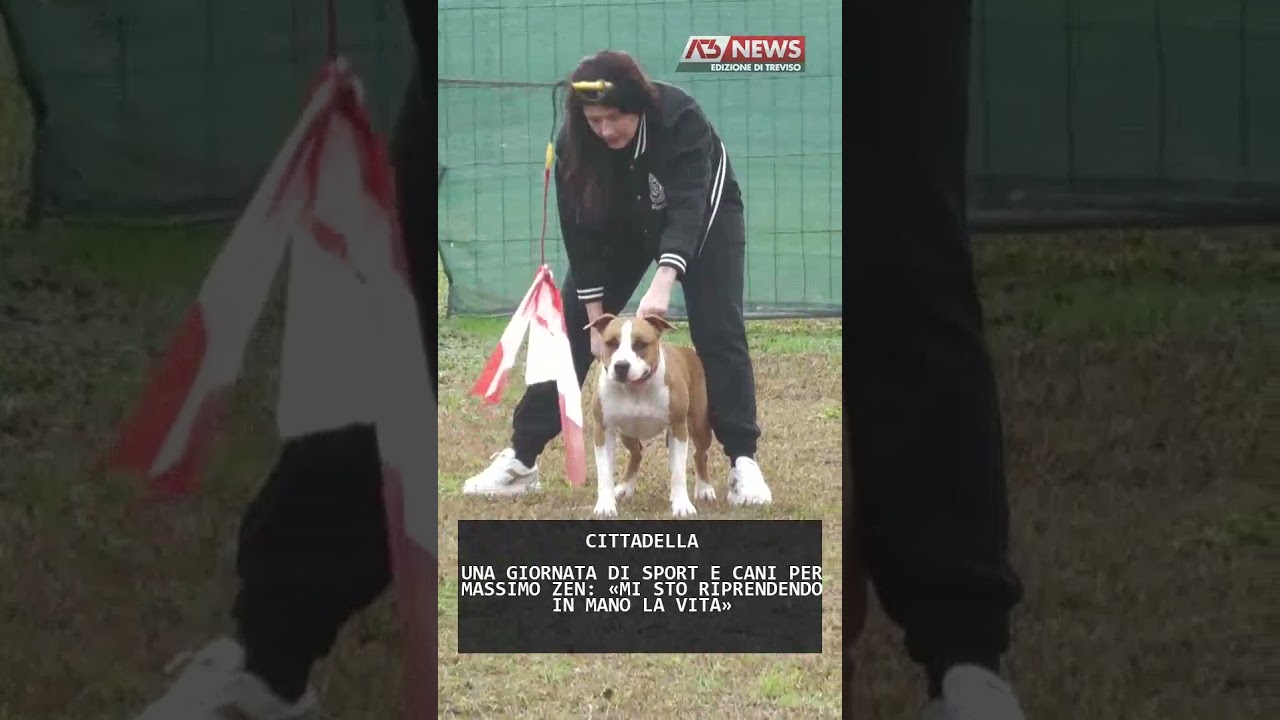 UNA GIORNATA DI SPORT E CANI PER MASSIMO ZEN: &laquo;MI STO RIPRENDENDO IN MANO LA VITA&raquo; | 15/11/2025