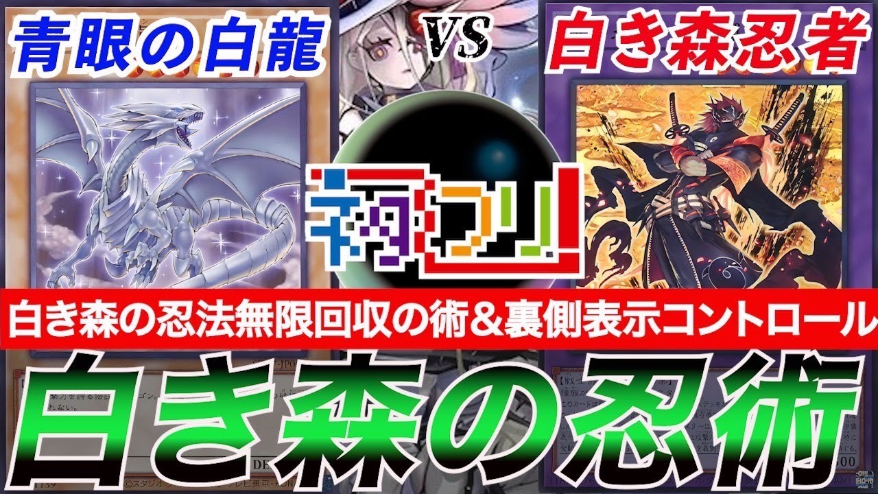 【#遊戯王】『青眼の白龍』vs『白き森忍者』白き森には忍者がいる！？脅威の裏守備忍術！！