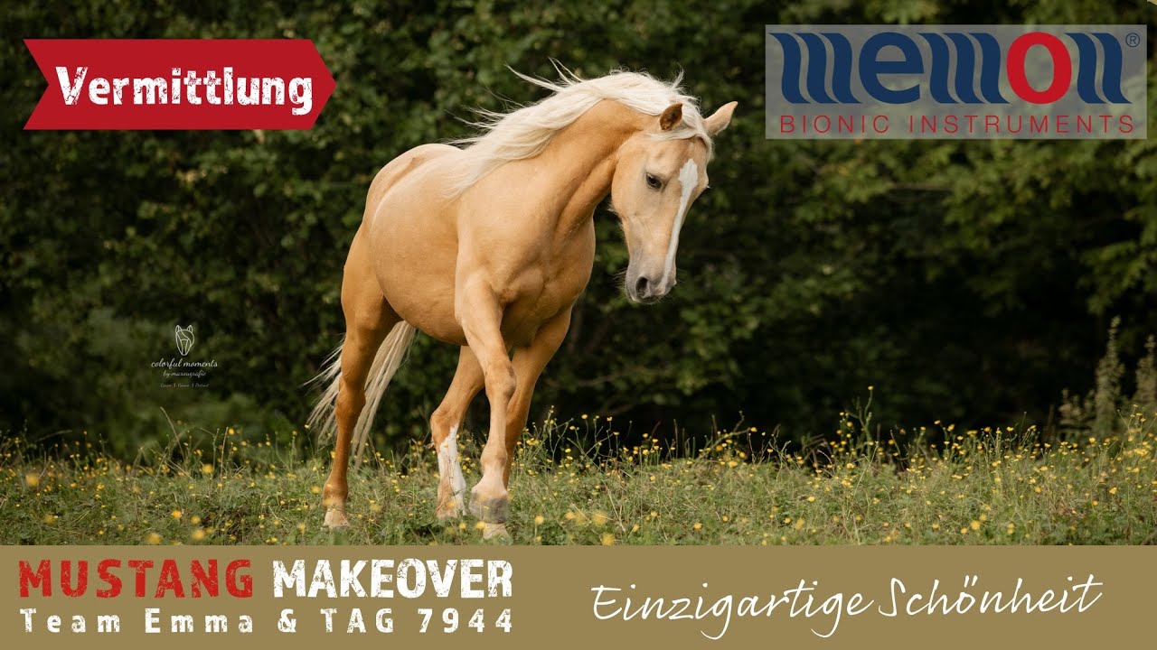 Felicita wird nicht in die Auktion gehen😳 - Team Emma | MUSTANG MAKEOVER 2024