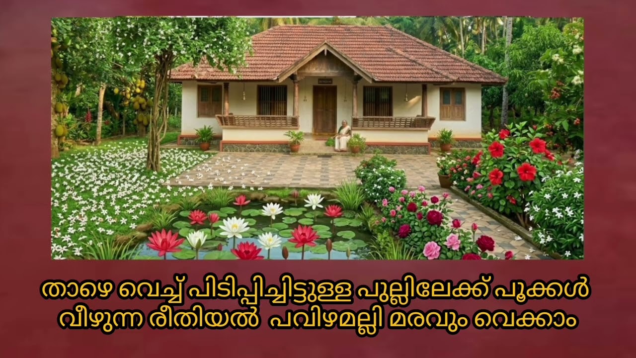 🏡♥️🌴🌲Traditional Kerala home landscaping🪷🪴🌺 Dont miss description👍🌈🏡Pls try to watch in laptop/TV💻🖥️