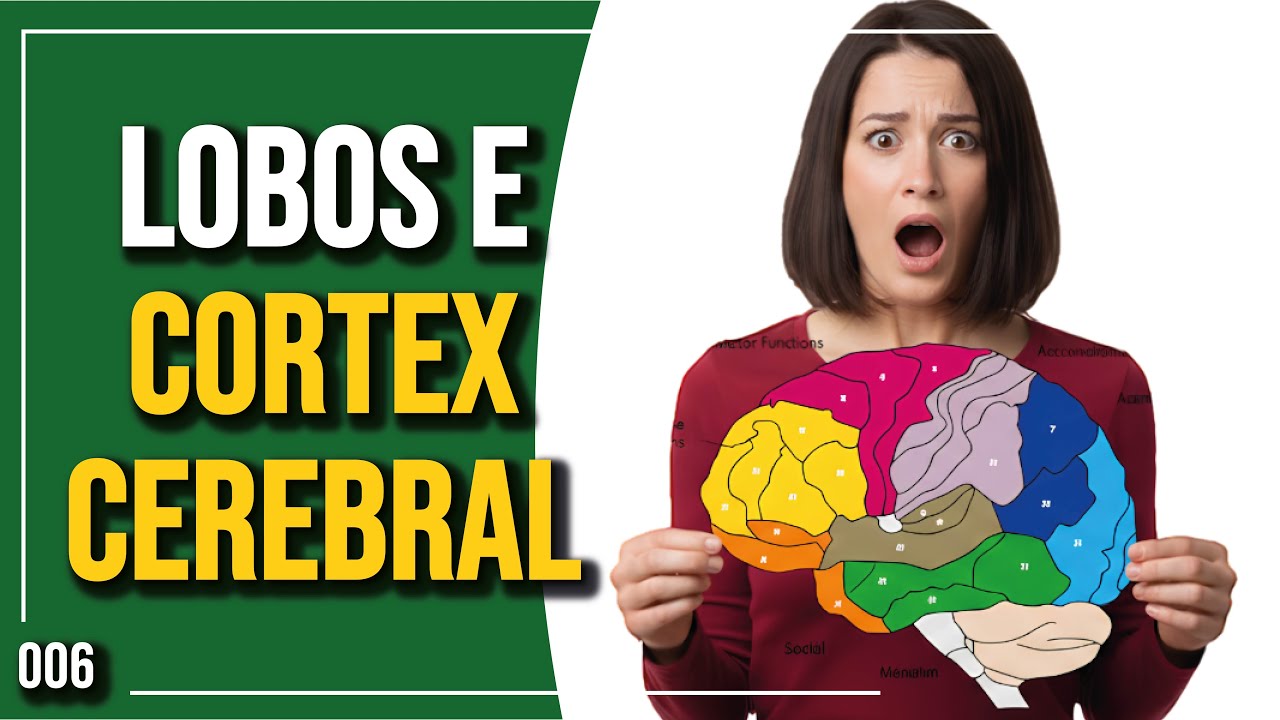 Lobos e Cortex Cerebral | Introdução à Neurociências | 006 - Parte 2