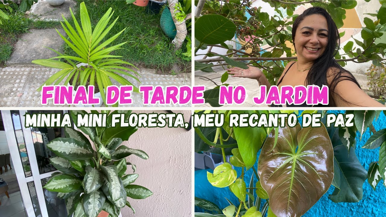  Final de Tarde no Jardim 🌅 temos um  novo coqueirinho /Manutenção, Cuidados simples  e necessários 