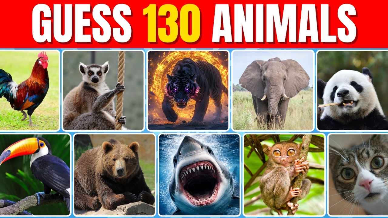 Угадай животное за 3 секунды | Викторина по 130 животным 🐾 Легкий, средний и сложный
