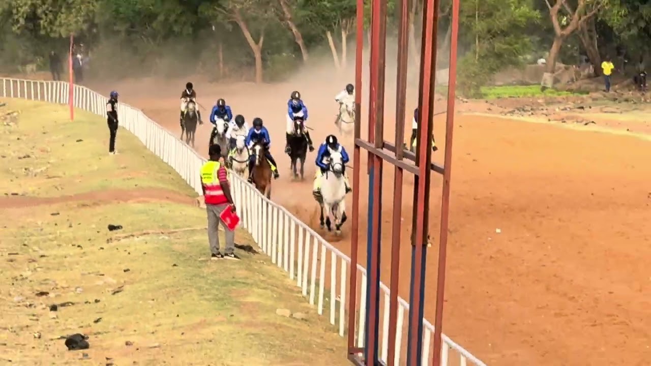 8/3/2026 COURSE HIPPIQUEORDINAIRE SAISON 2025-2026 19ème JOURNEE Course de Cracks 1er Ferrari🐴