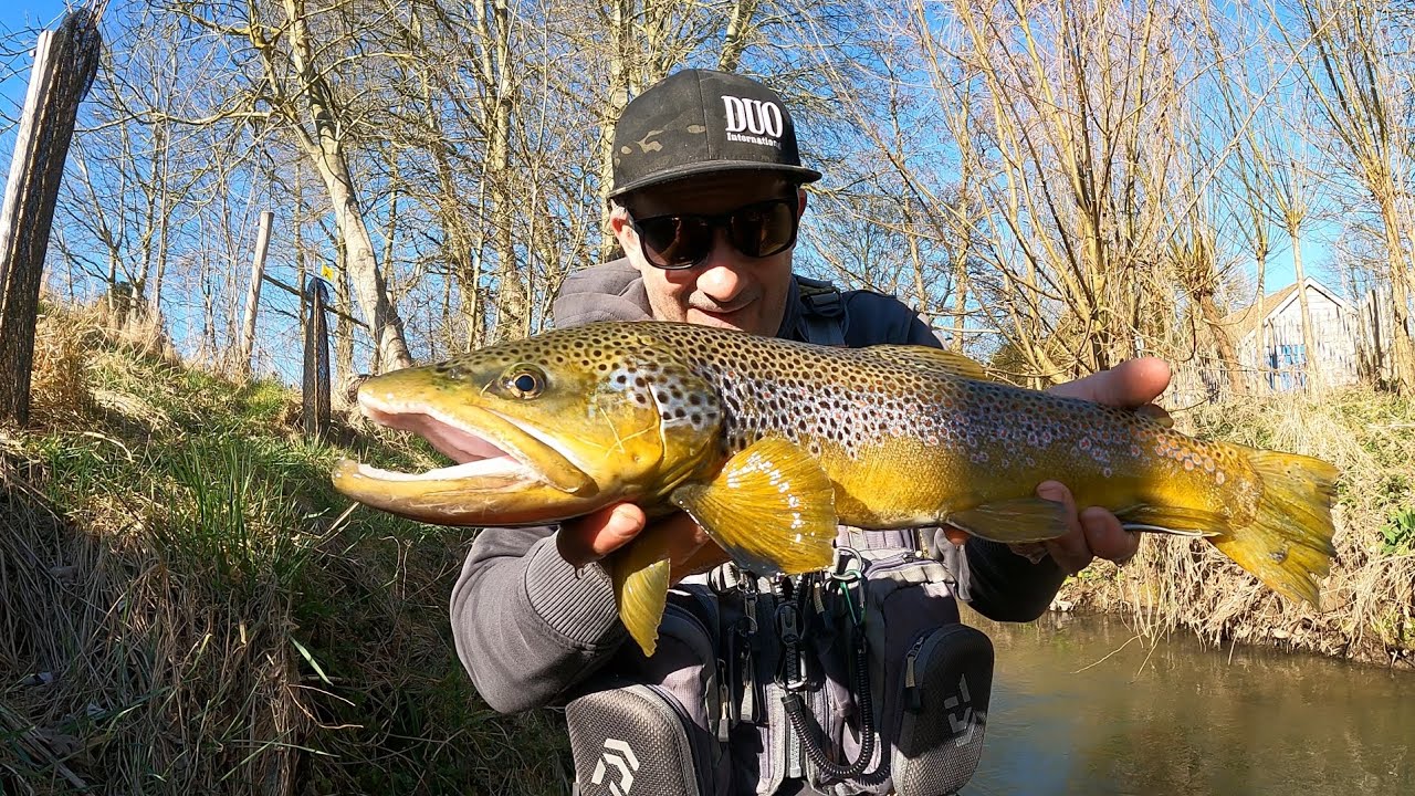 🇵🇹 Abertura pesca da truta 2025