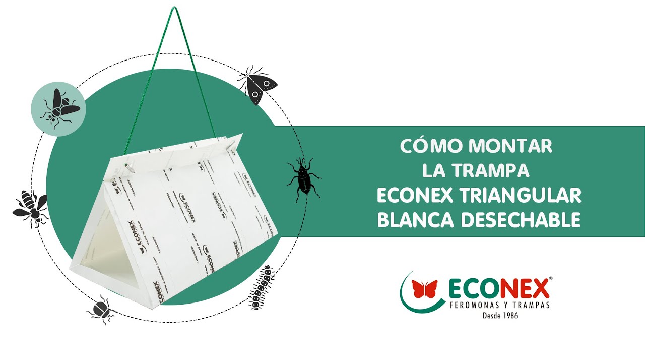 CÓMO USAR LA TRAMPA ECONEX TRIANGULAR BLANCA DESECHABLE - CONTROL Y MONITOREO DE PLAGAS