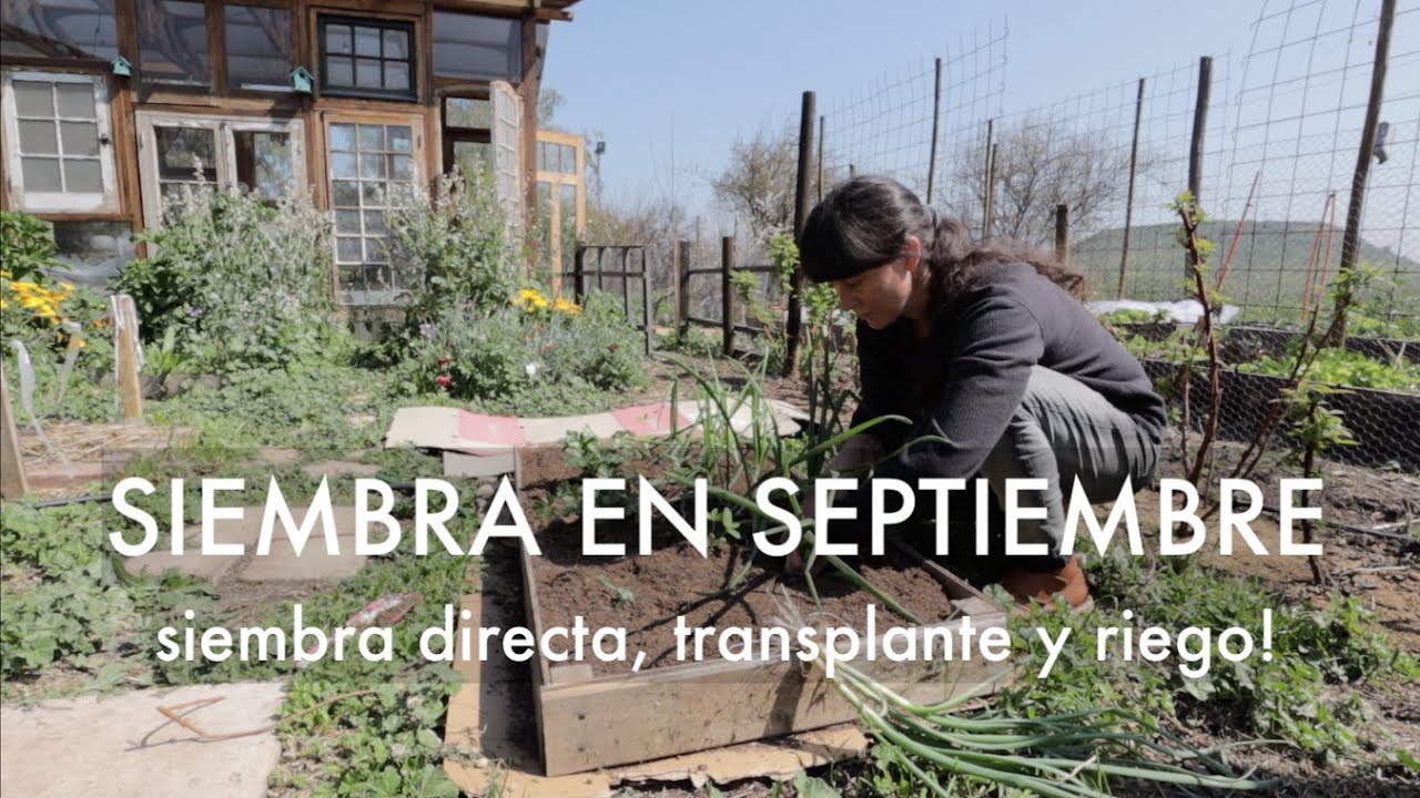 Siembra en Septiembre | Septiembre es siembra directa Baby! Tareas del huerto en #Primavera