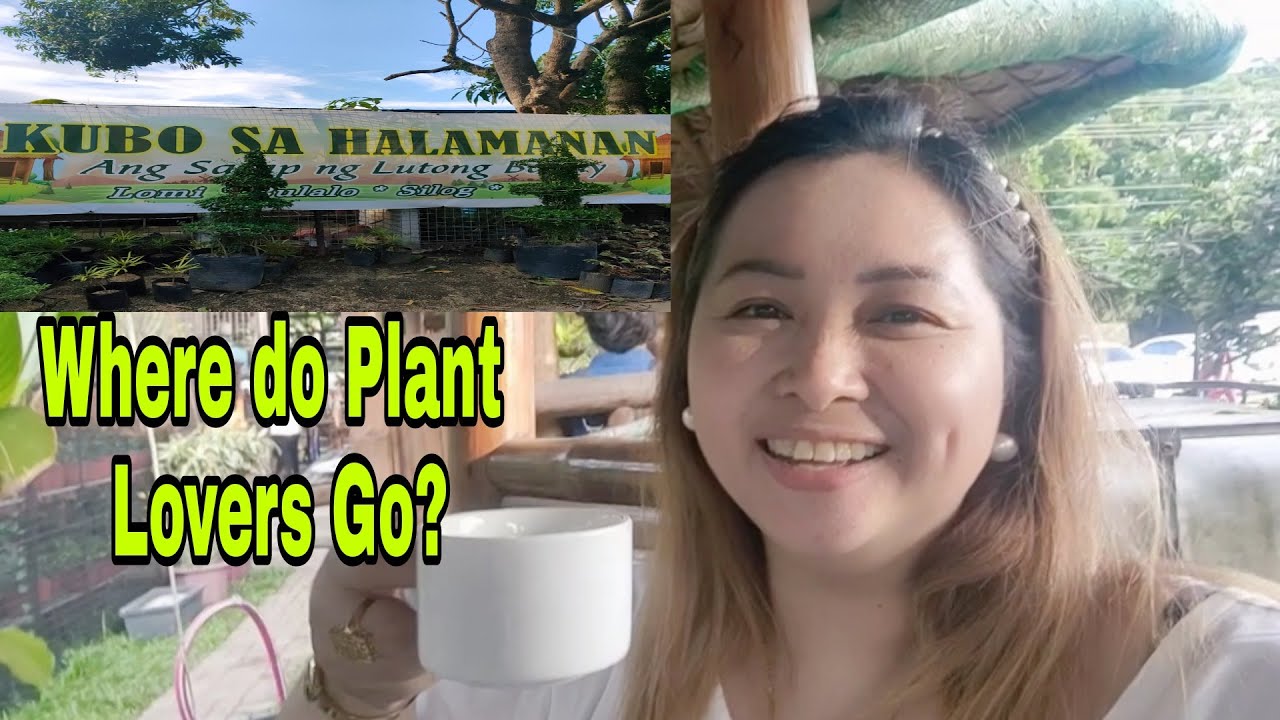 Resto and Halamanan in One | Kubo sa Halamanan | Lipa City, Batangas
