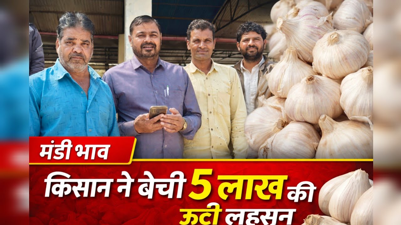 किसान ने बेची 5 लाख रुपए की ऊटी लहसुन Farmer sells Ooty garlic worth Rs 5 lakh