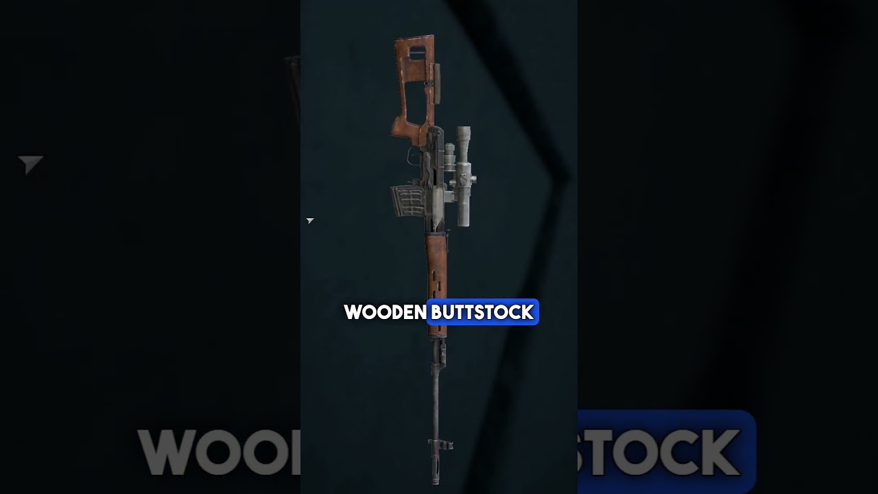 DayZ's New Gun Has A Catch... 🔒