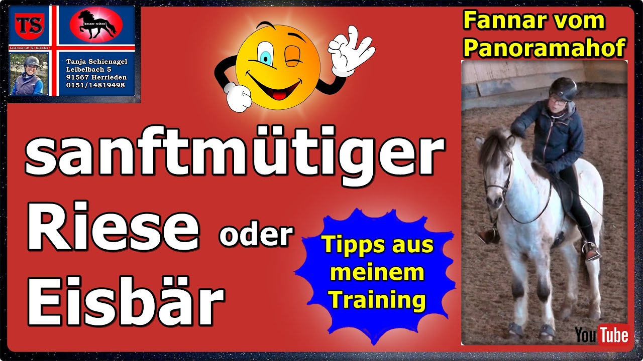 Fannar, Islandpferd, Isländer, Wallach, Freizeit, Dressur, Tipps aus Unterricht, Tanja Schienagel