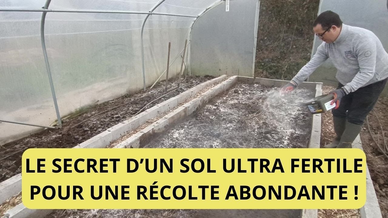 🌱 LE SECRET D’UN SOL ULTRA FERTILE POUR UNE RÉCOLTE ABONDANTE ! 🌱