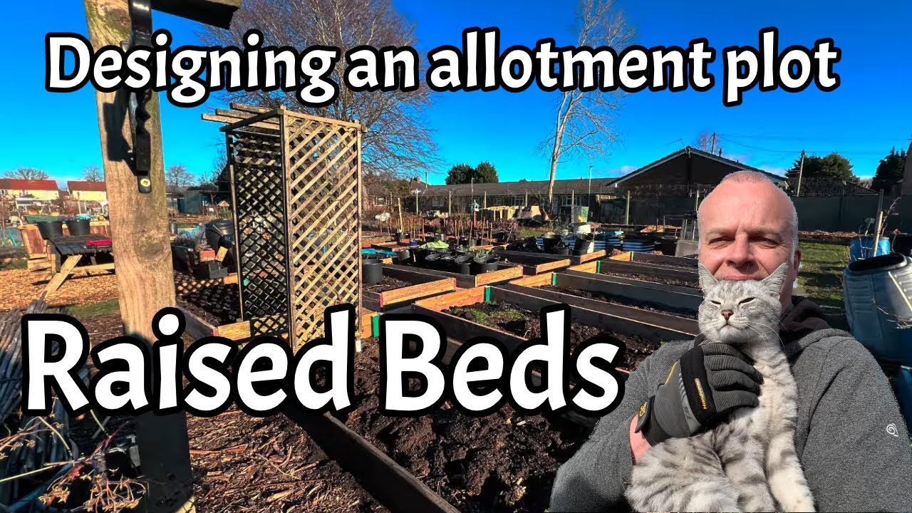 Designing an allotment plot - raised beds