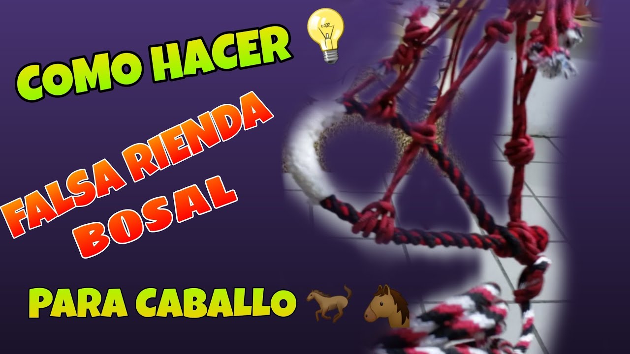 ¡ COMO HACER FALSA O BOSAL PARA CABALLO !