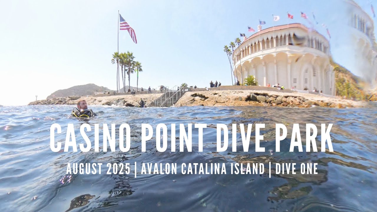 SCUBA DIVING CATALINA ISLAND AVALON DIVE PARK - AUGUST 2025 w/ INSTA360 x4 OLD PIER WRECKAGE