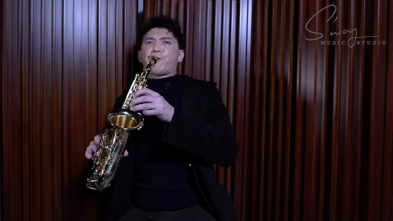 Timothy Sun - The Music of the Night (Soprano Saxophone Cover)