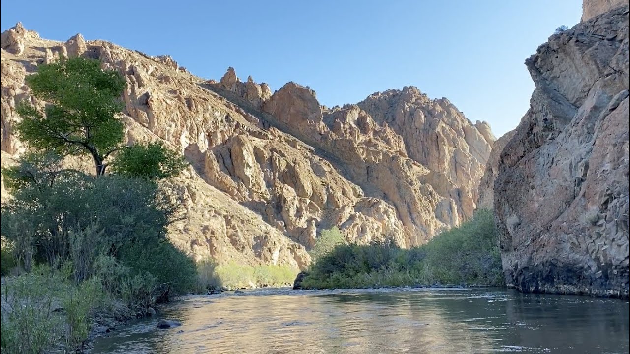 Catch and Cook on Walker River!