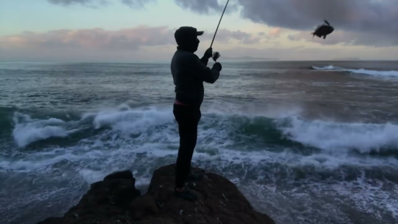 Este lugar está repleto de mojarras!!!