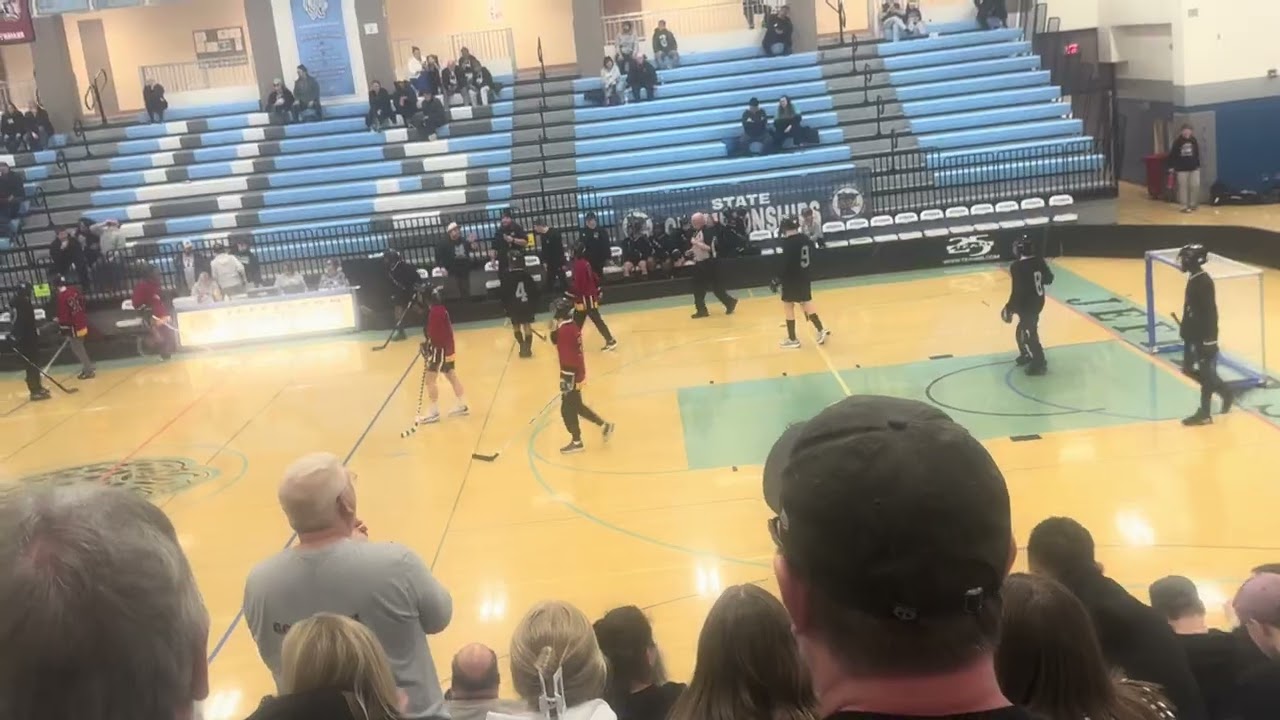 Blazing Cats vs Mankato Knights state tournament semifinal game final 