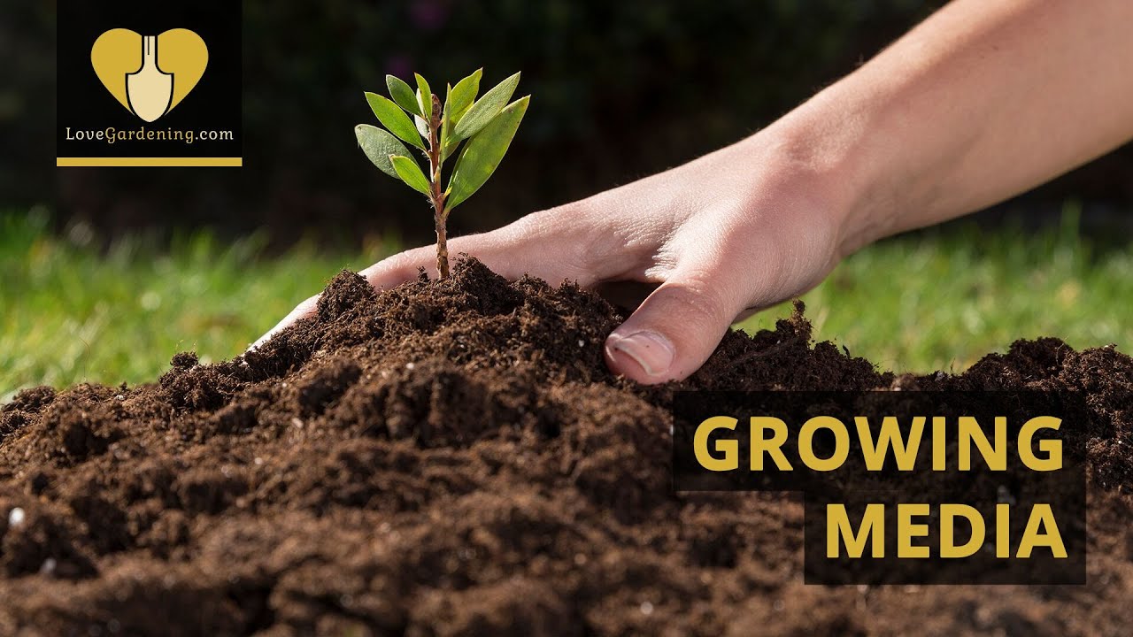 Plant Growing Media from LoveGardening.com
