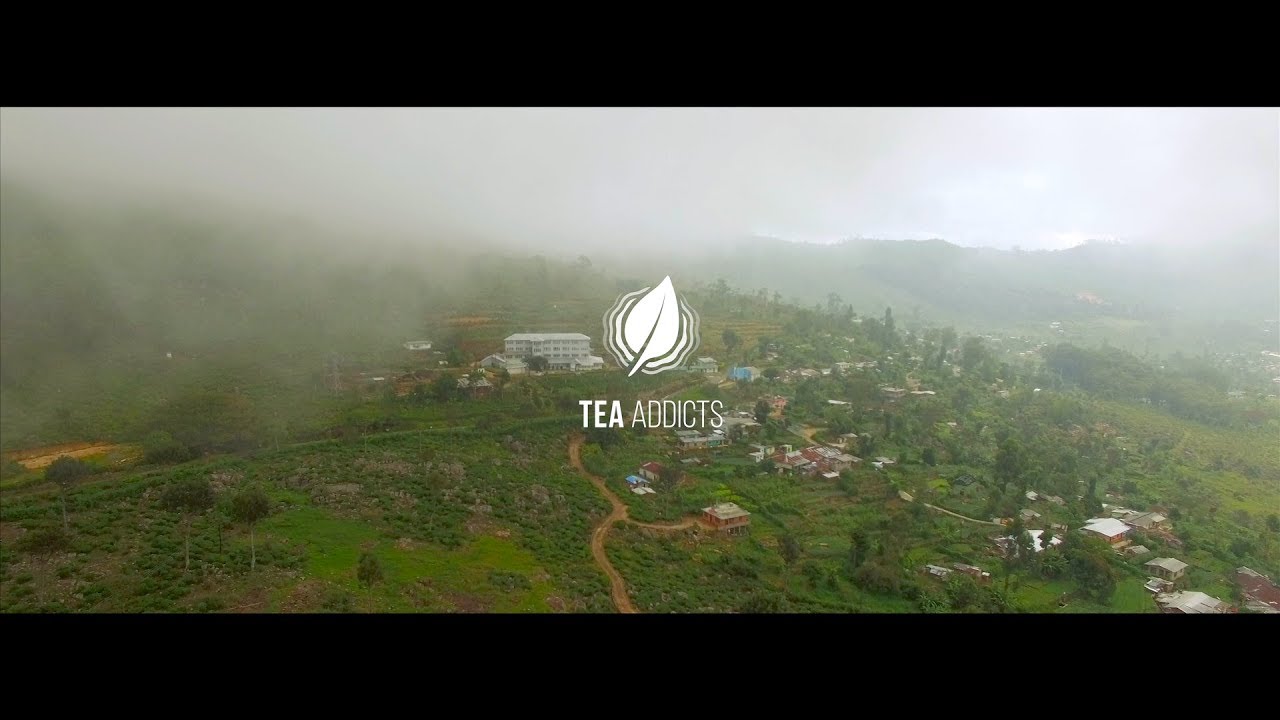 TEA ADDICTS - Unterwegs in Sri Lanka (Ceylon) Nuwara Eliya, Teeplantagen Doku
