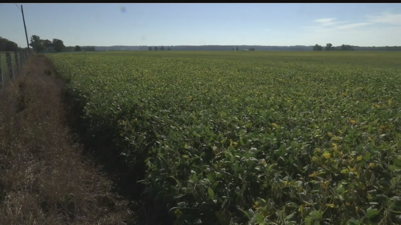 Federal aid package to help with farmers' tariff losses won't save the day