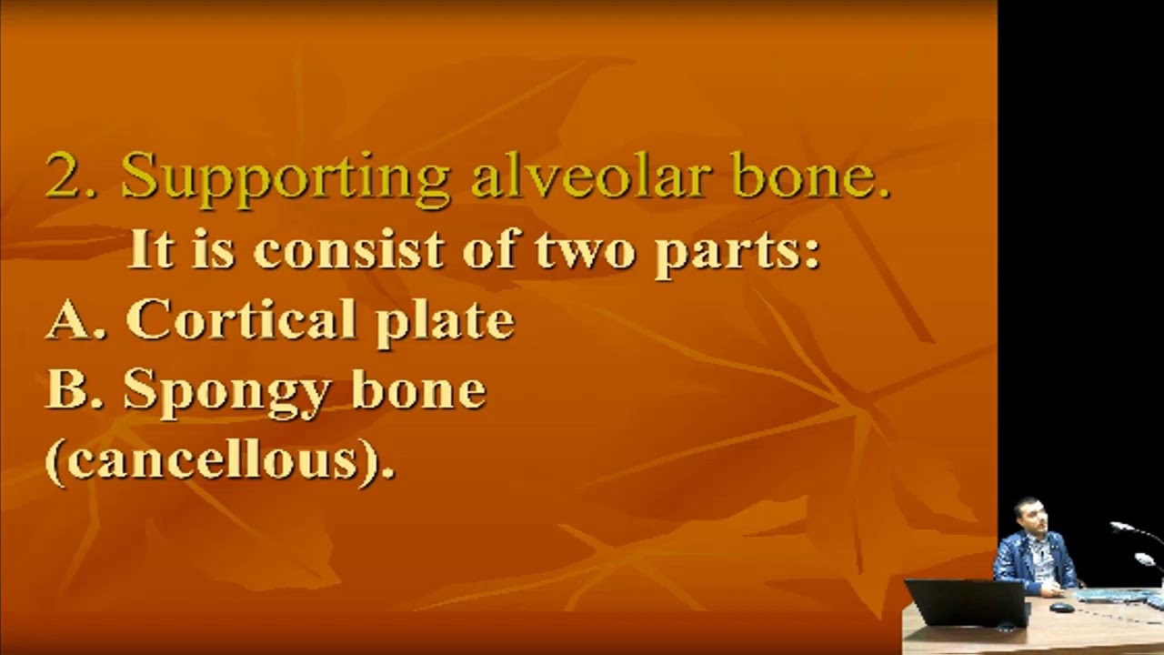 محاضرة م م.عبد الناصر حاتم (Alveolar Bone/للمرحلة الثانية/ كلية طب الاسنان)