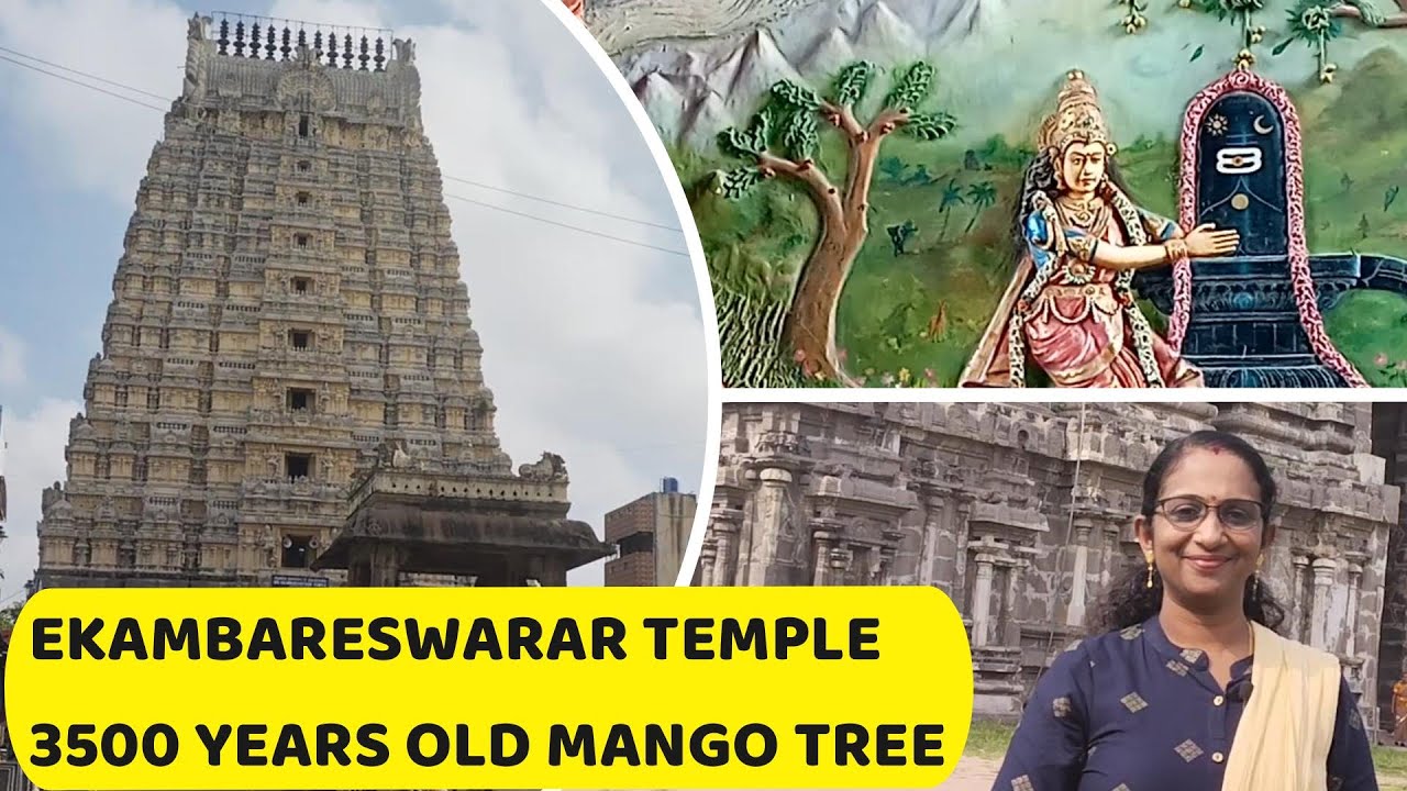 RIC#11 Ekambareswarar Temple / ഏകാംബരേശ്വര ക്ഷേത്രം, കാഞ്ചീപുരം / 3500 വർഷം പഴക്കമുള്ള മാവ്