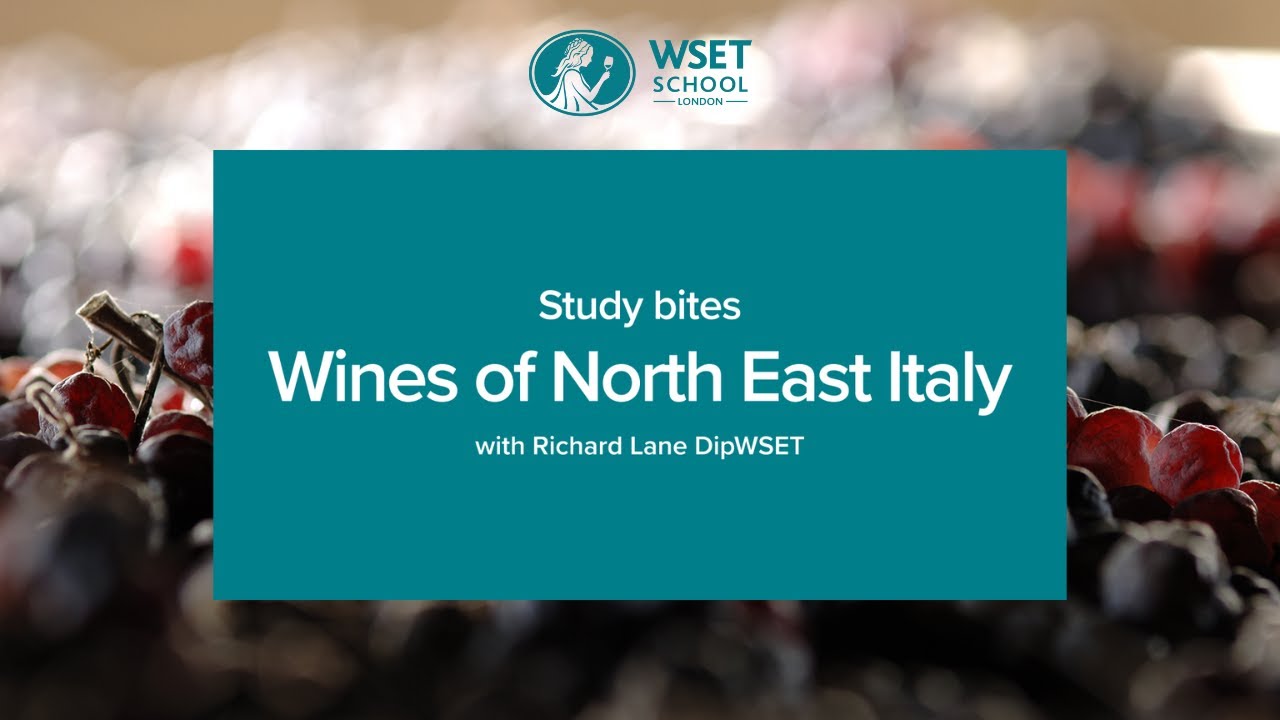 Study bites: wines of North East Italy (WSET Level 3 wine)
