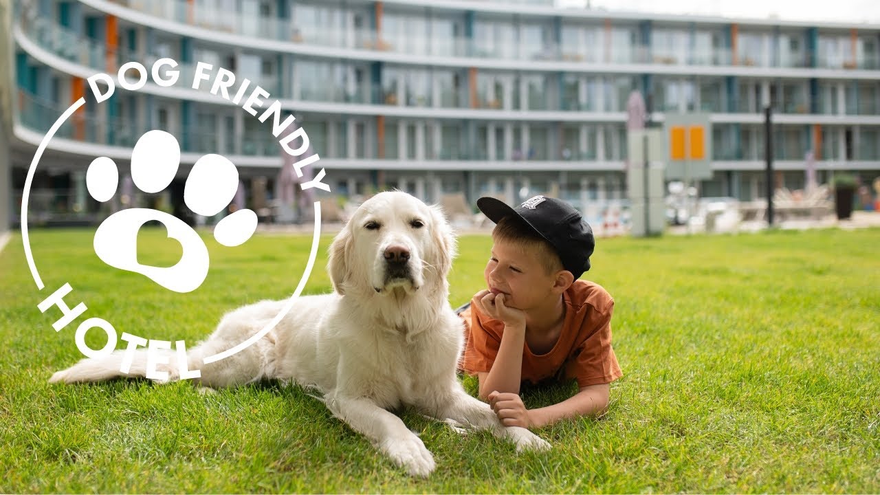 Hotel przyjazny zwierzętom - Linea Mare w Pobierowie