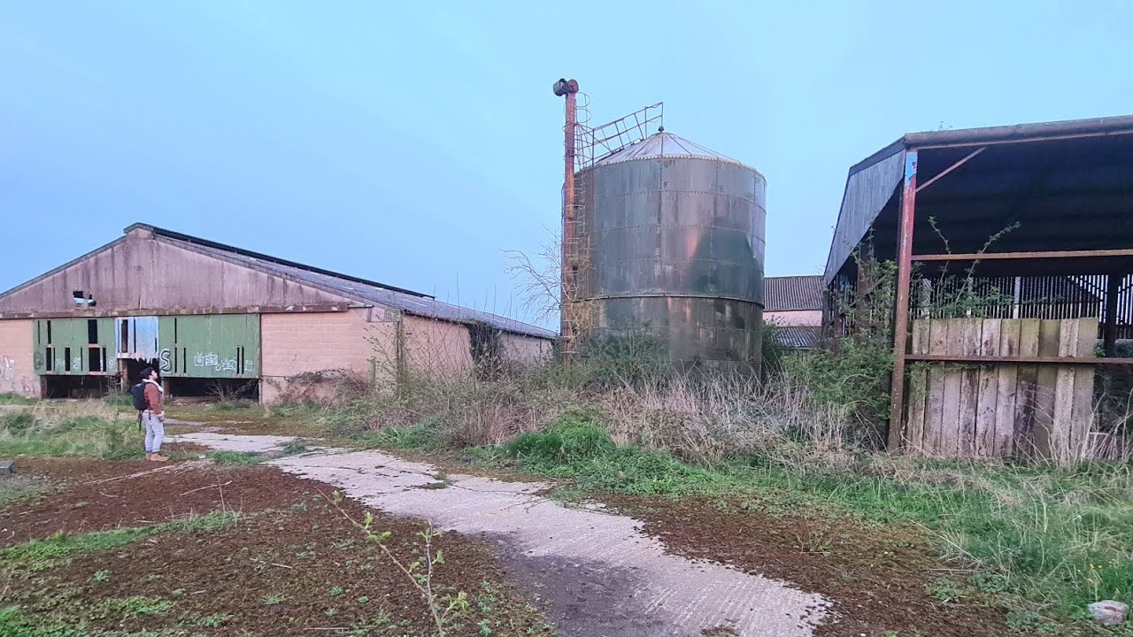 Ryebeck Cattle Farm: Forgotten Secrets of North Yorkshire
