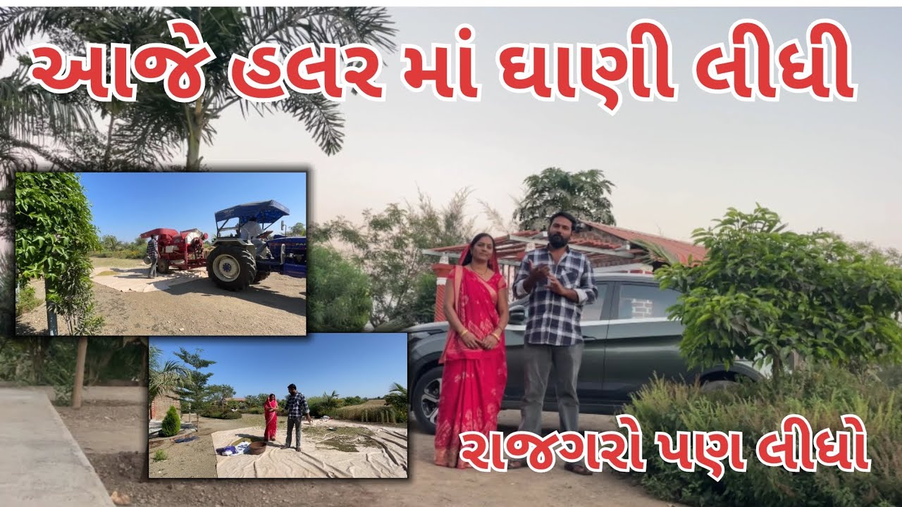આજે તો મનીષા ને પણ કામે લાગવું પડ્યું 😊| ઘાણી રાજગરો લીધો | village life |farmer life | #village 