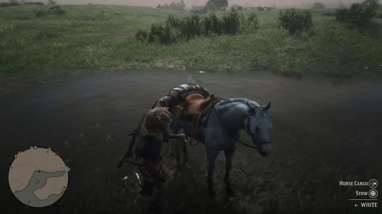 RDR 2: LEVELING UP MY TRADOR ROLE TO REACH LEVEL 50