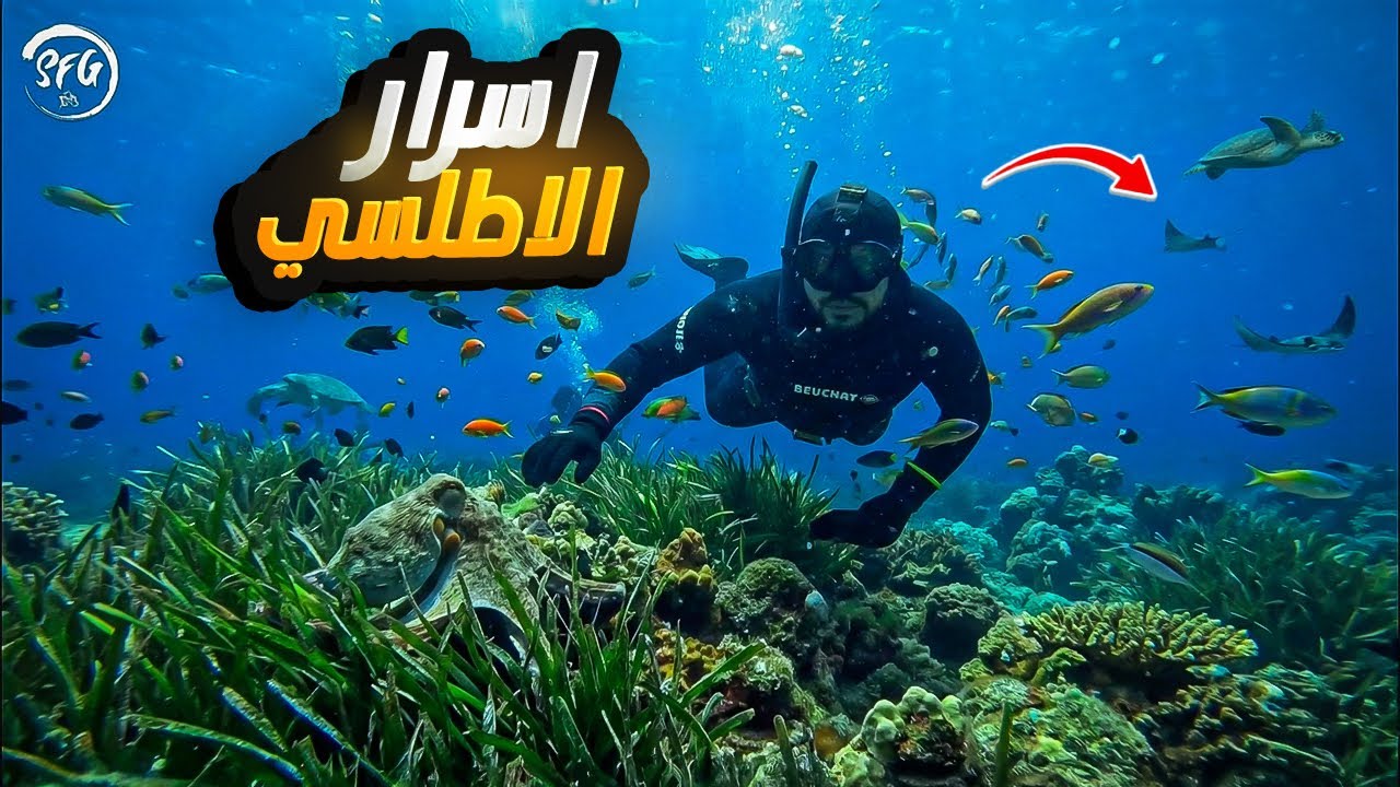 اسرار الاطلسي : ليلة كاملة في مغارة من اجل الغوص 🤿 شوفو شنو وقع