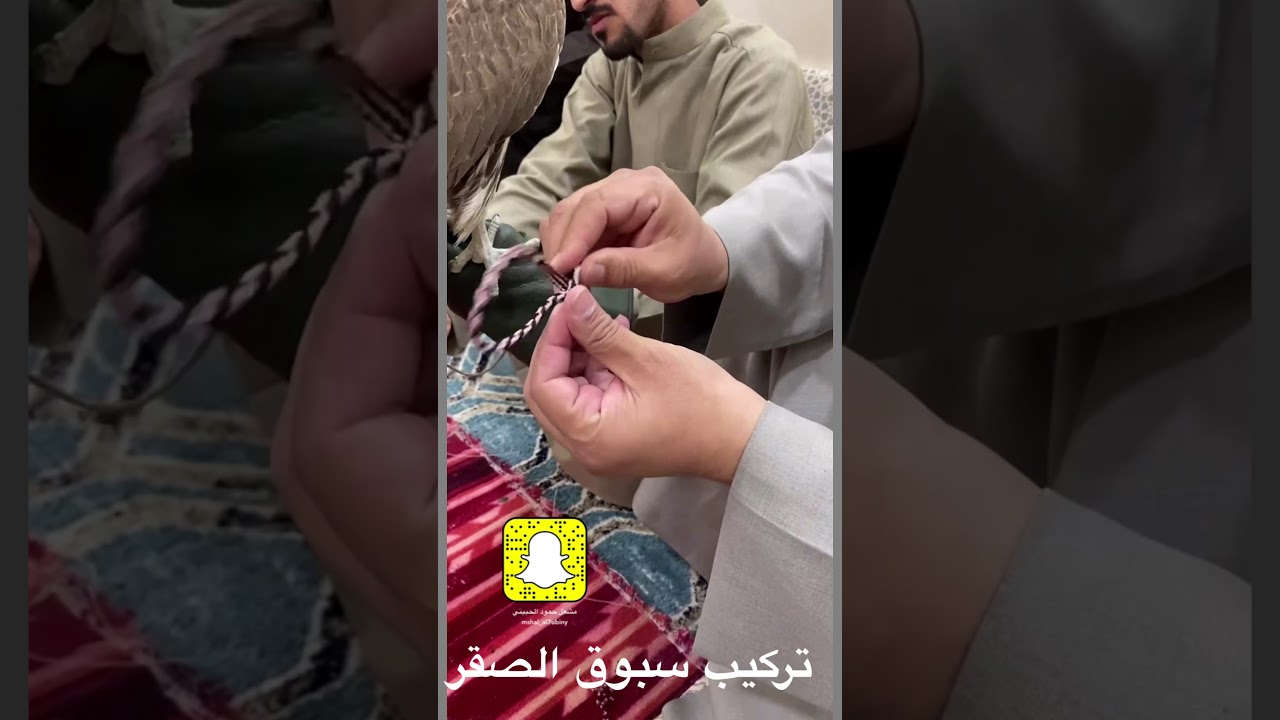 4 طرق لتركيب سبوق الصقر