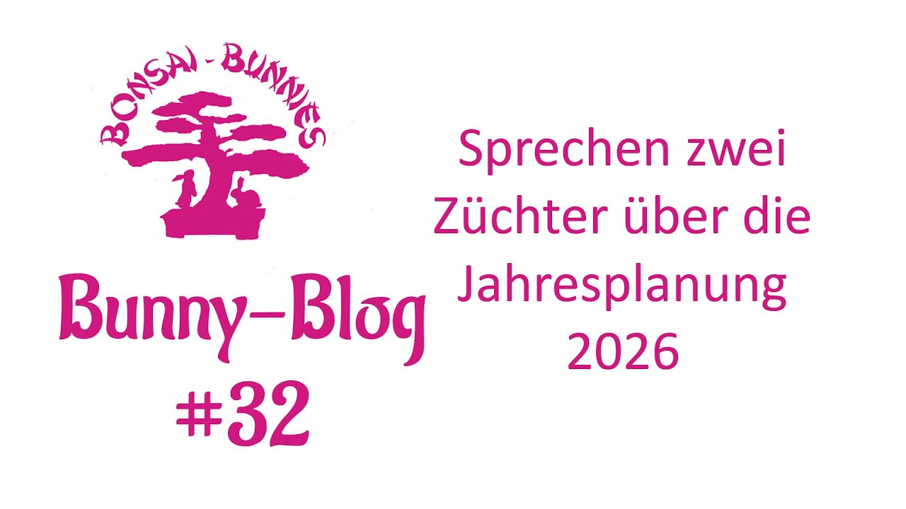 Bunny-Blog# 32 Jahresplanung 2026