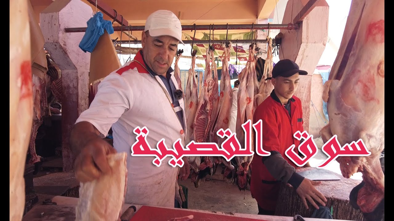 سوق القصيبة وأسعار اللحوم الماعز والبكري و الغنم 14/05/2023