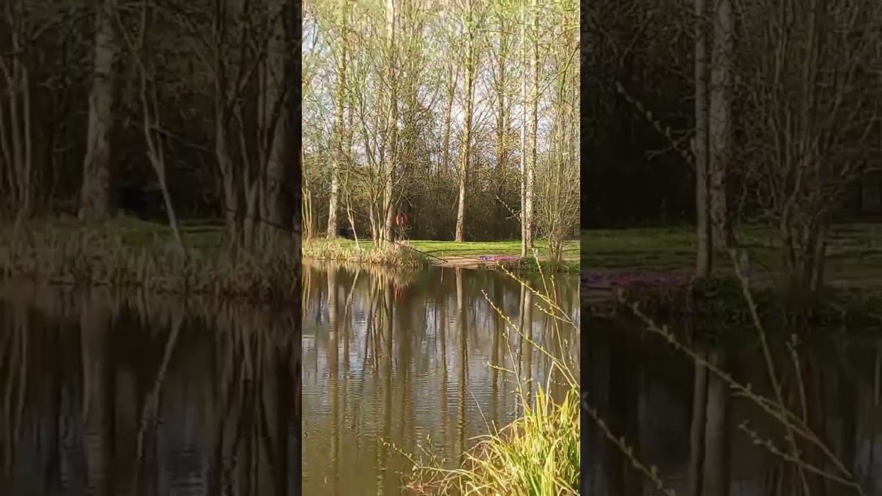 what would you do?   comments below....  #notcarpy #angling #dayticket #carpfishing #gabrielsfishery
