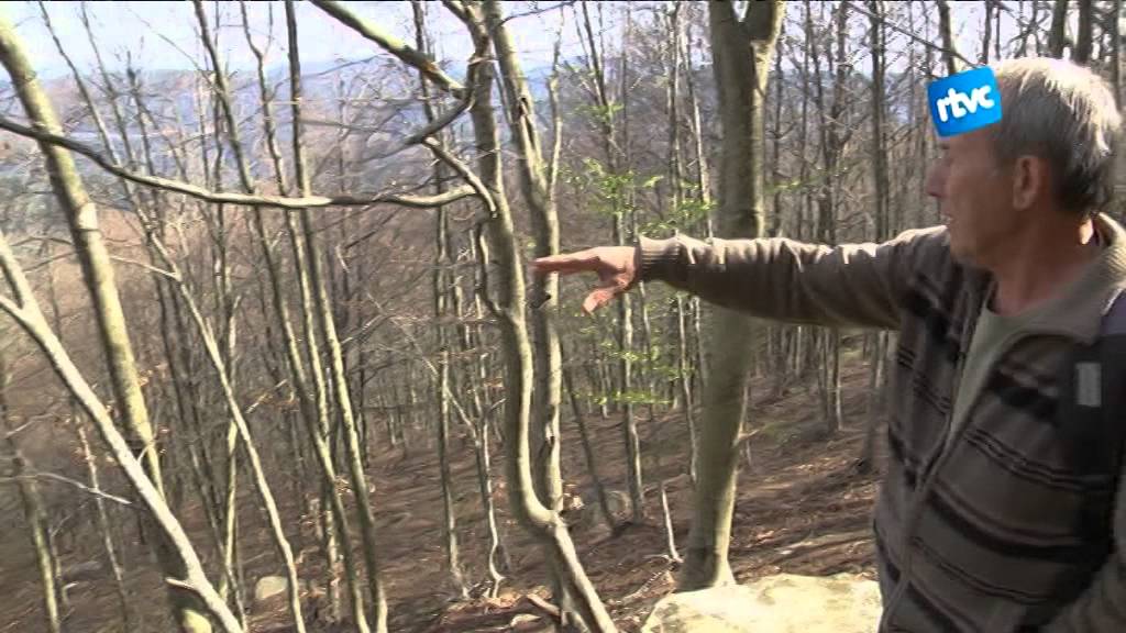 45 anys de l'accident aeri més important a Catalunya