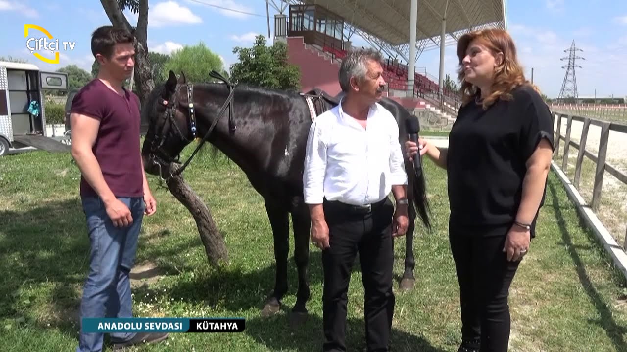 ANADOLU SEVDASI/KÜTAHYA RAHVAN AT YARIŞLARI-7. BOLUM