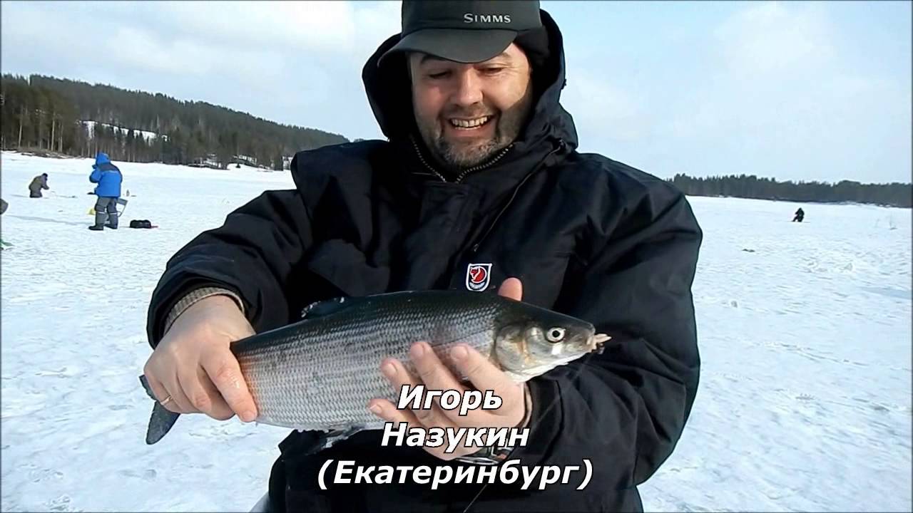 Рыбалка в Швеции, коммуна Сторуман.